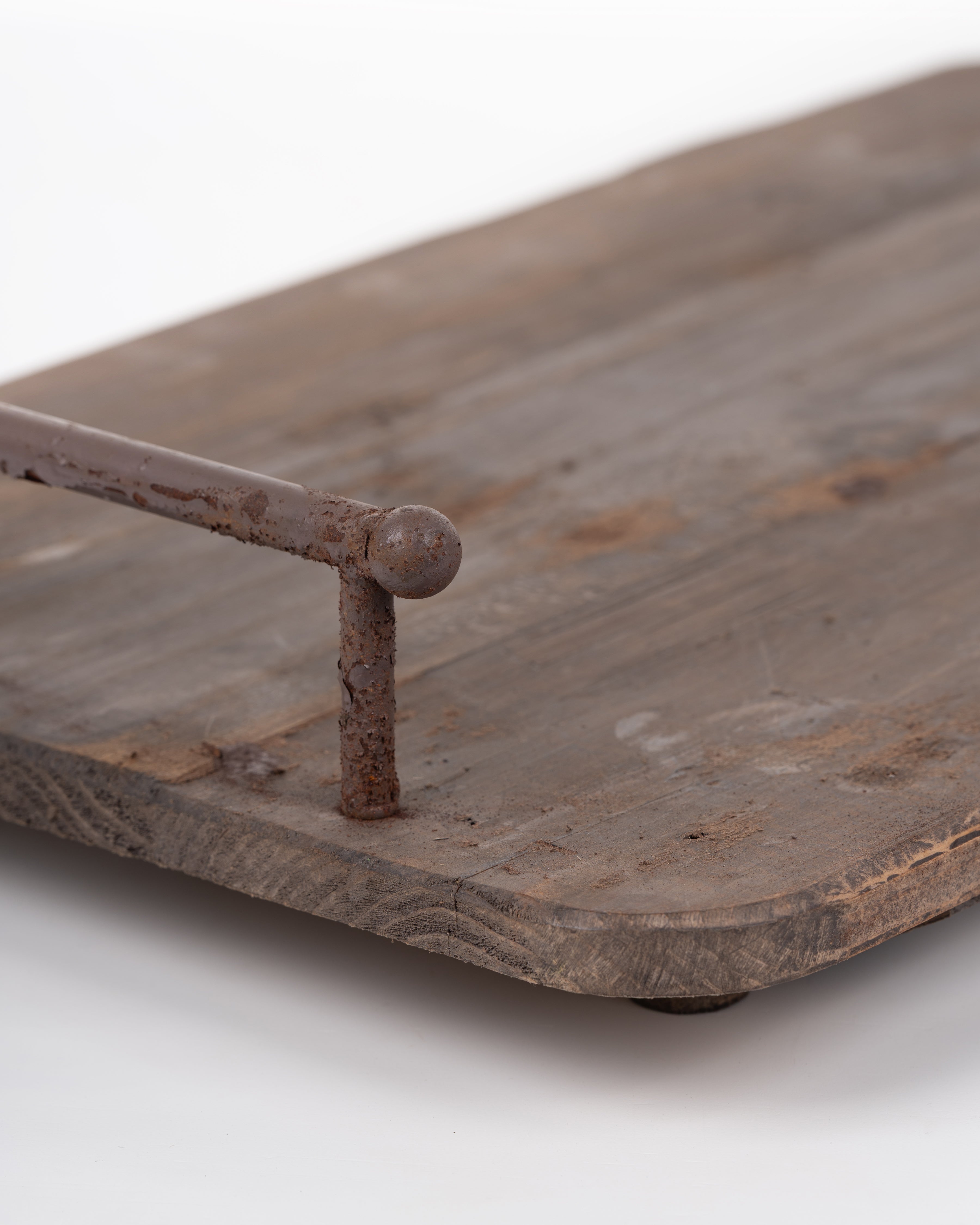 Botanist’s Tray | Medium