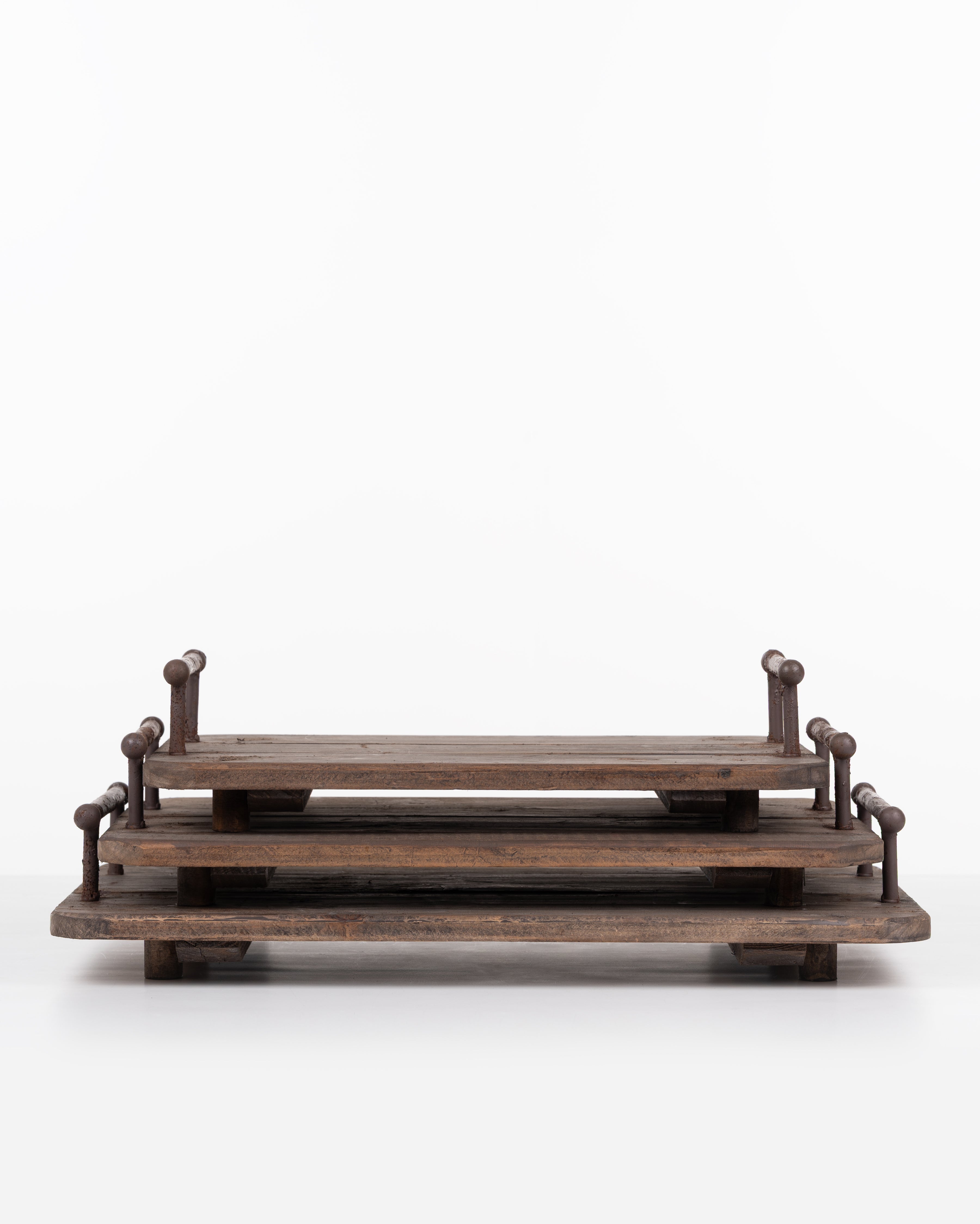 Botanist's Tray | Large