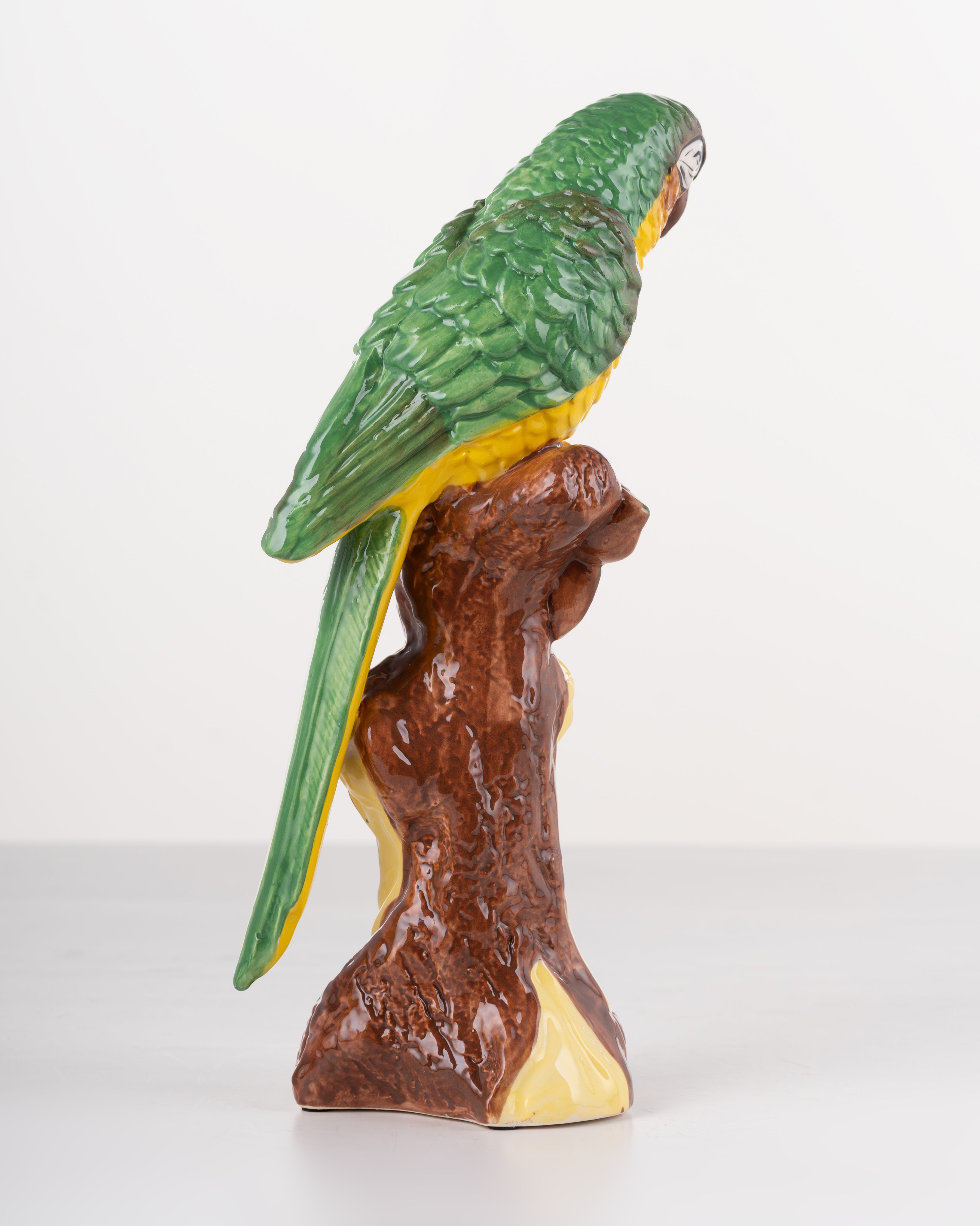 Tropical Canopy Parrot