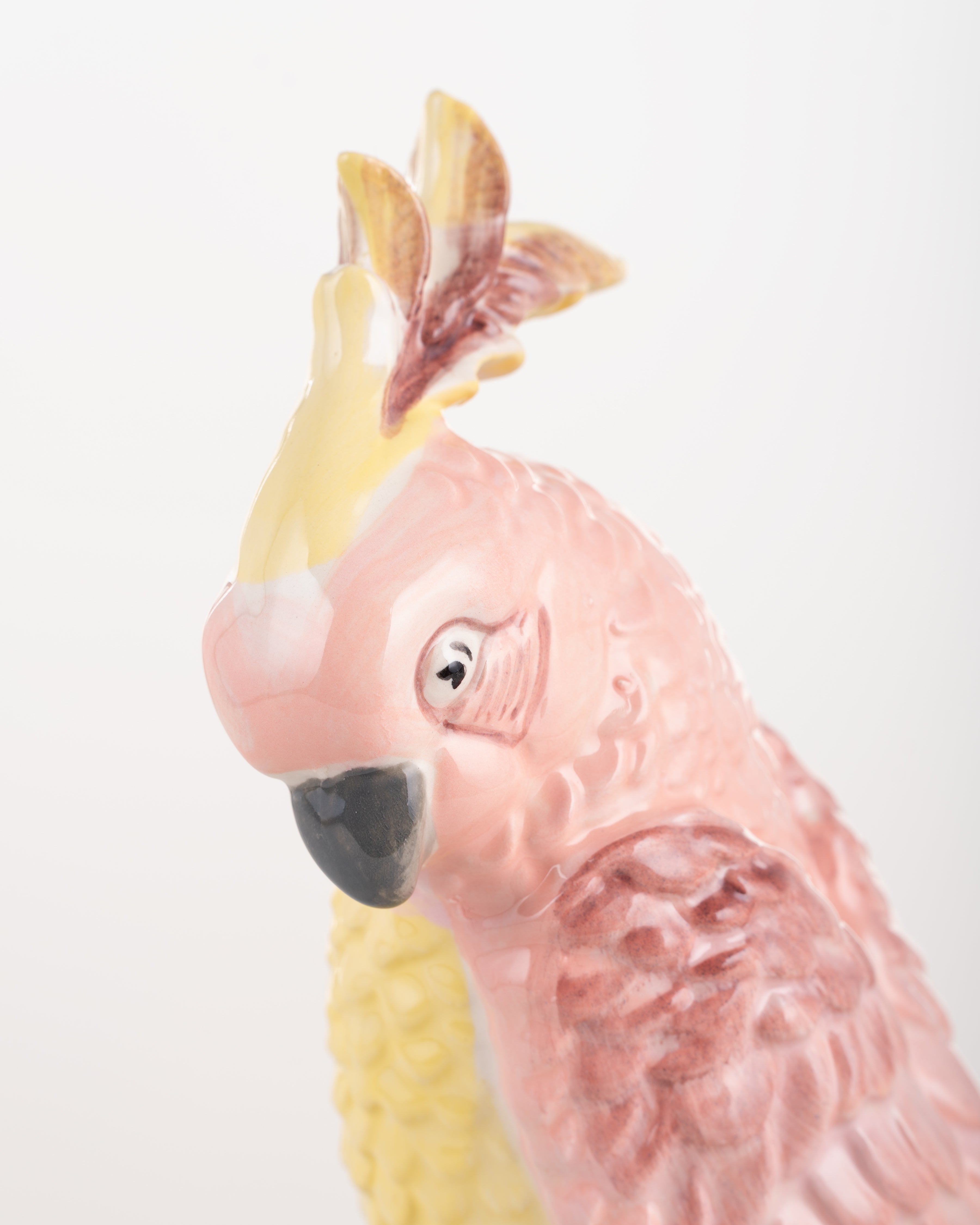 Blush Tropics Cockatoo
