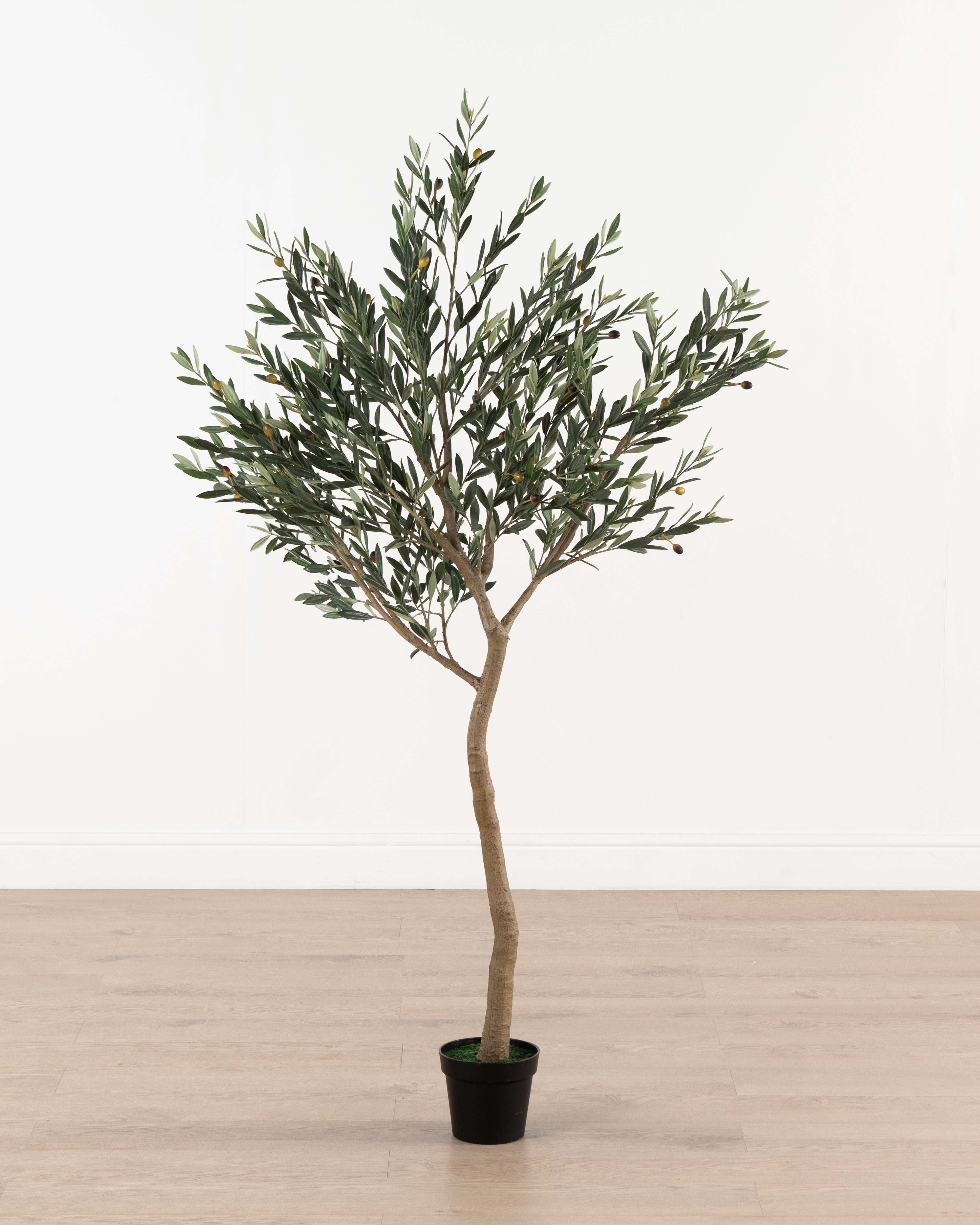 Faux Olive Tree