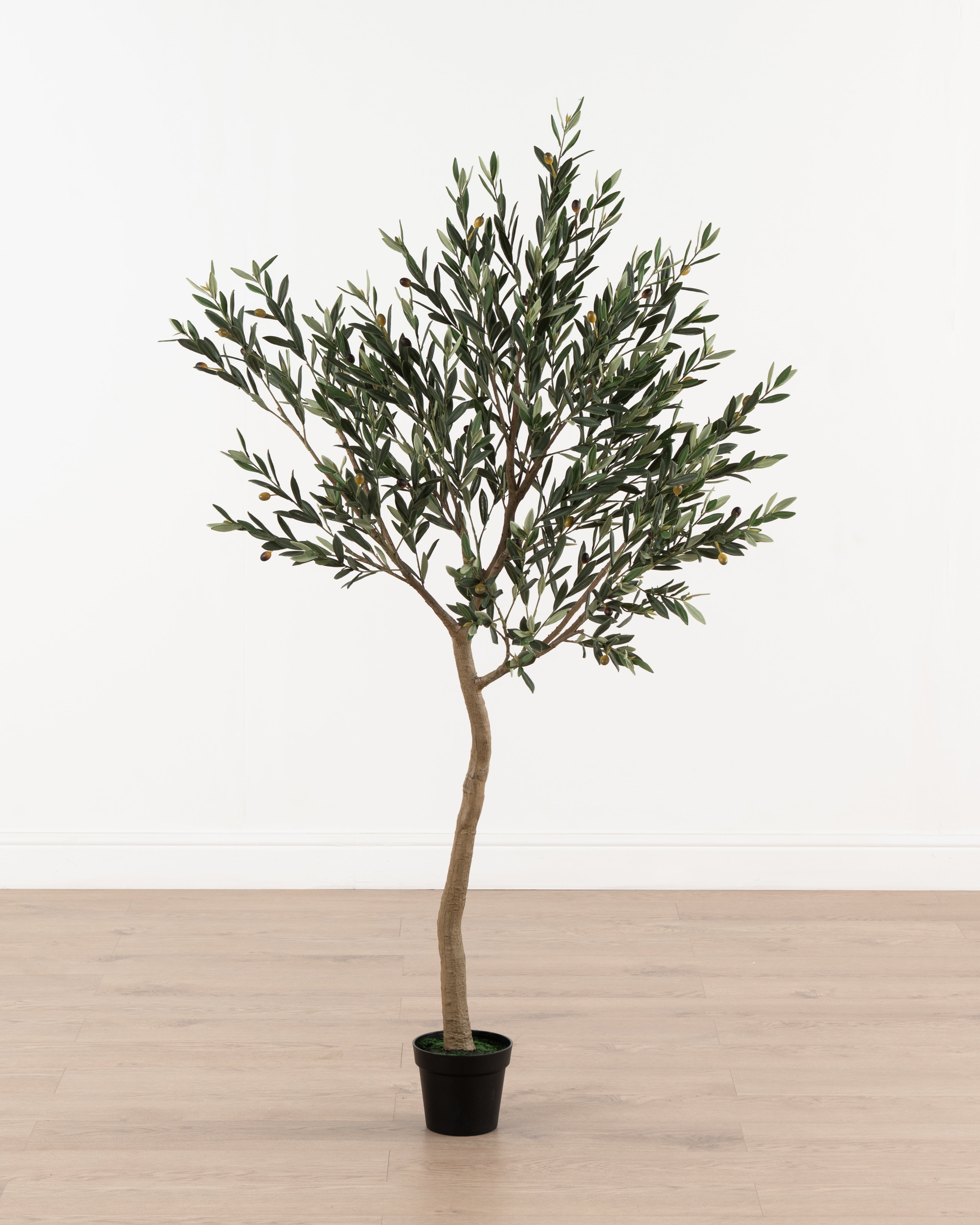 Faux Olive Tree