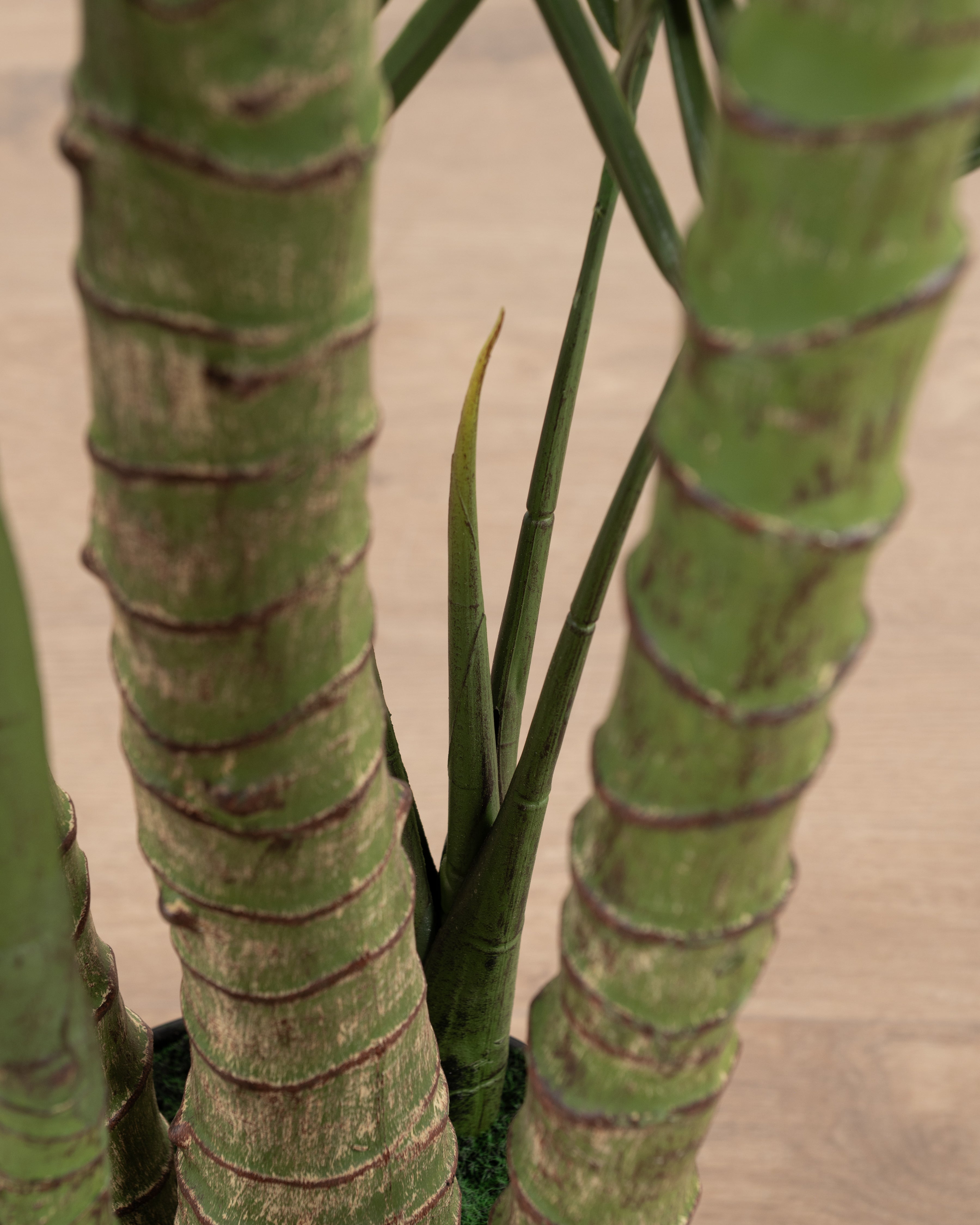 Faux Queen Palm Tree