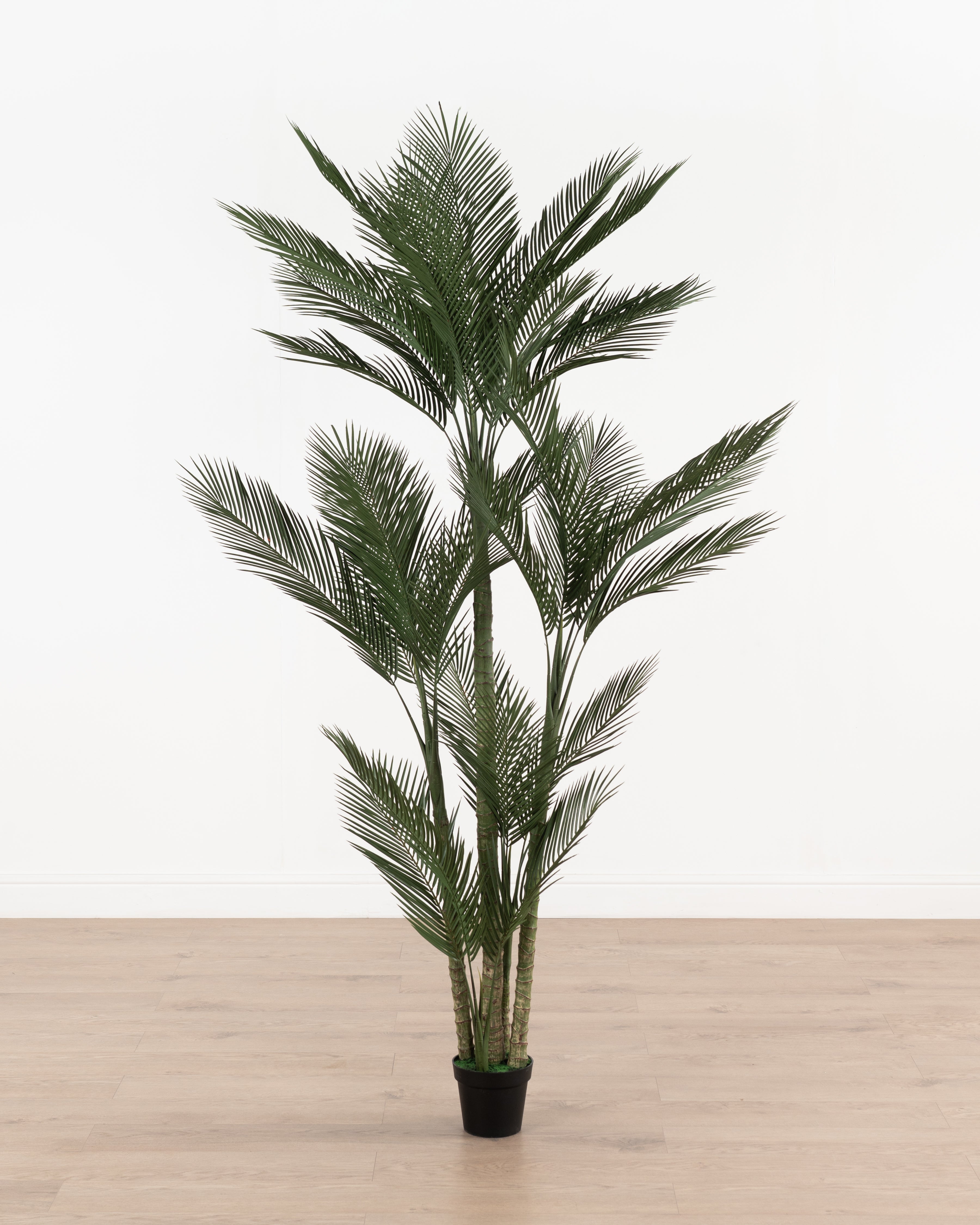 Faux Queen Palm Tree