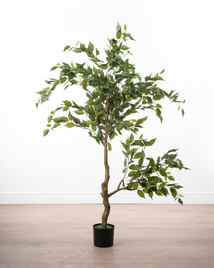 Faux Ficus Tree