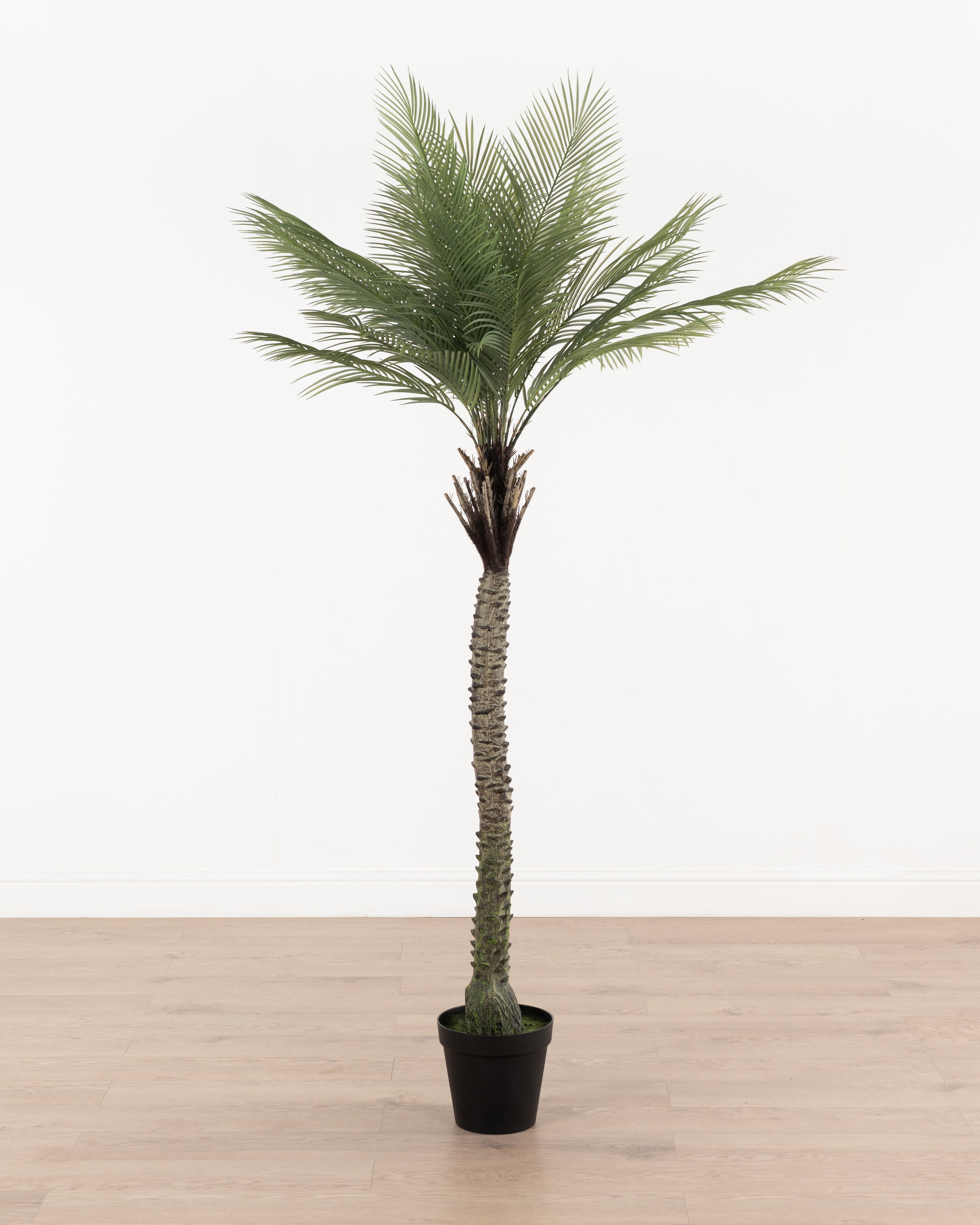 Faux Butterfly Palm Tree