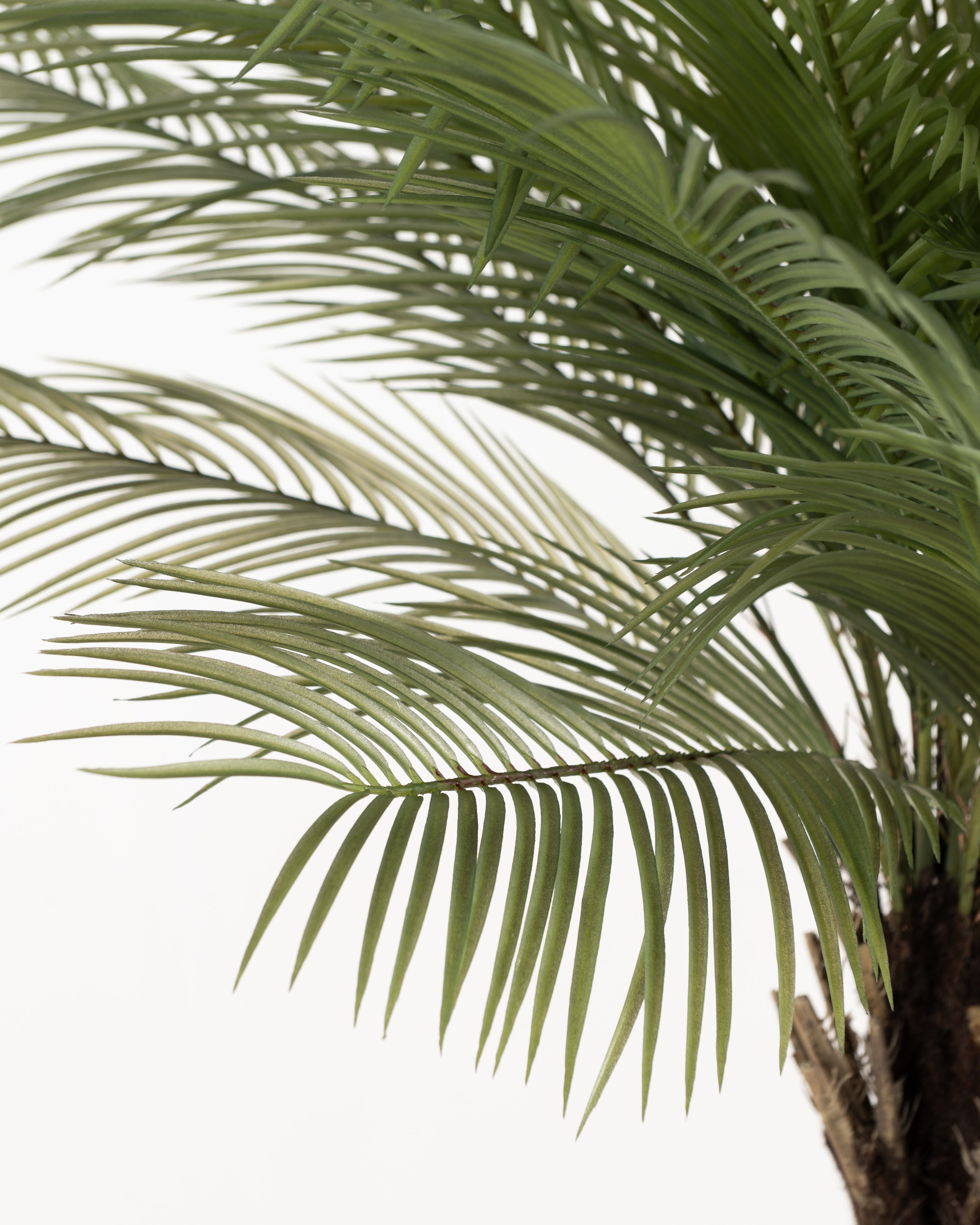 Faux Butterfly Palm Tree