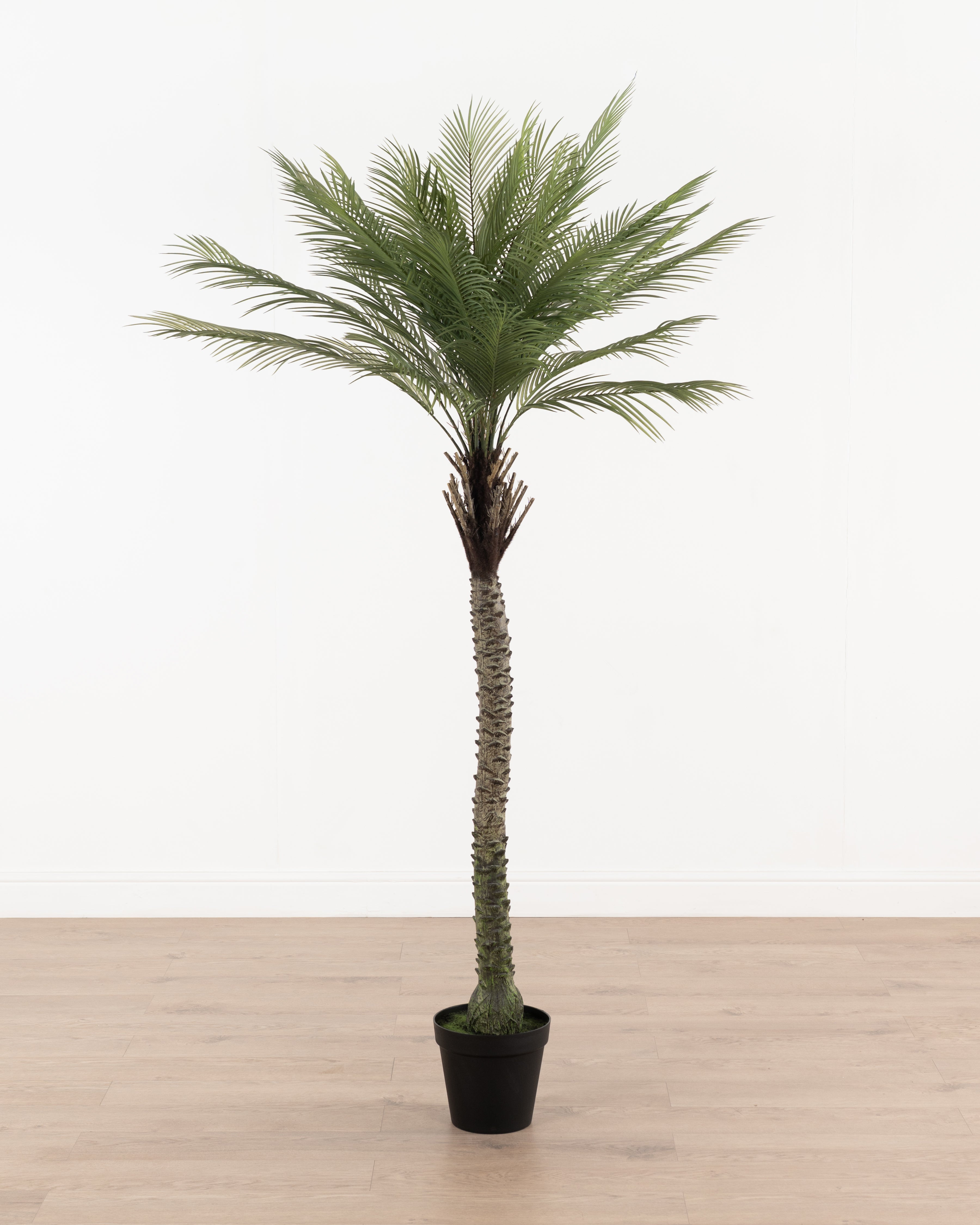 Faux Butterfly Palm Tree