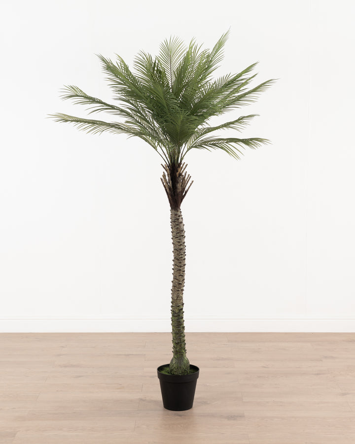 Faux Butterfly Palm Tree