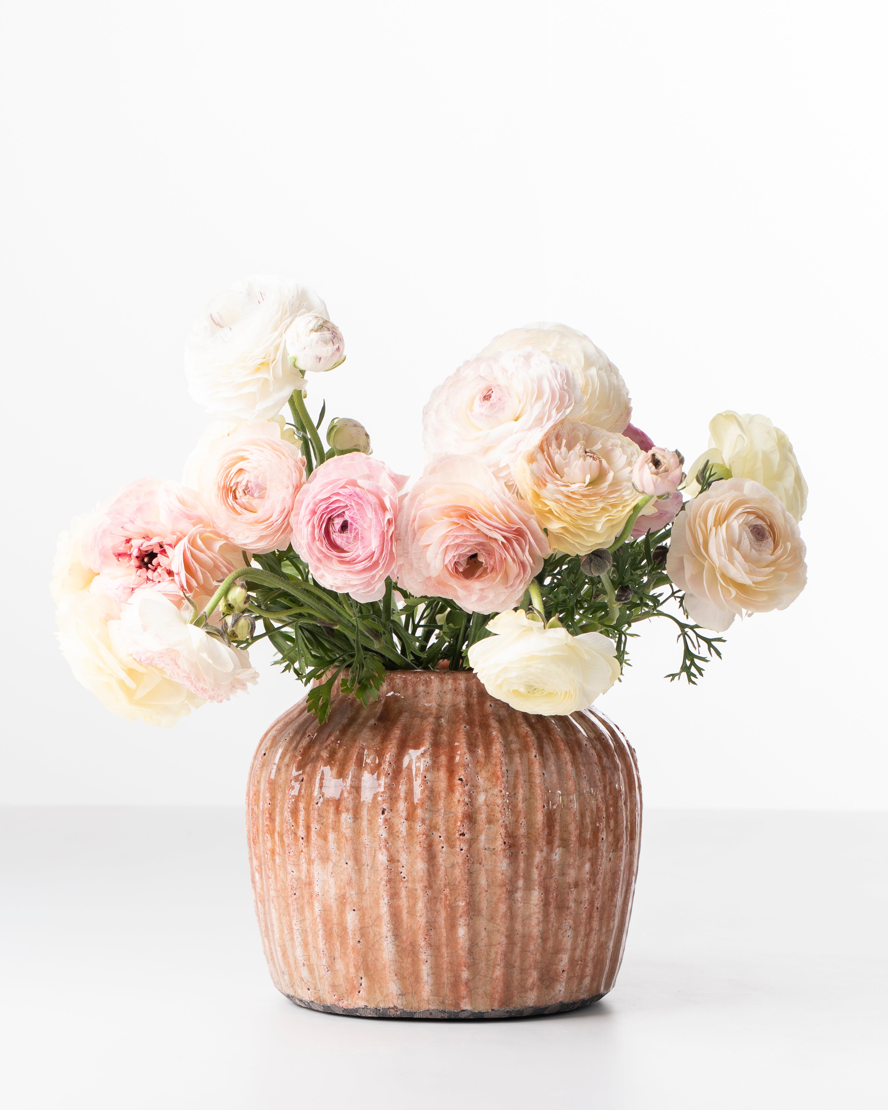 Terracotta Ribbed Ceramic Pot | Medium