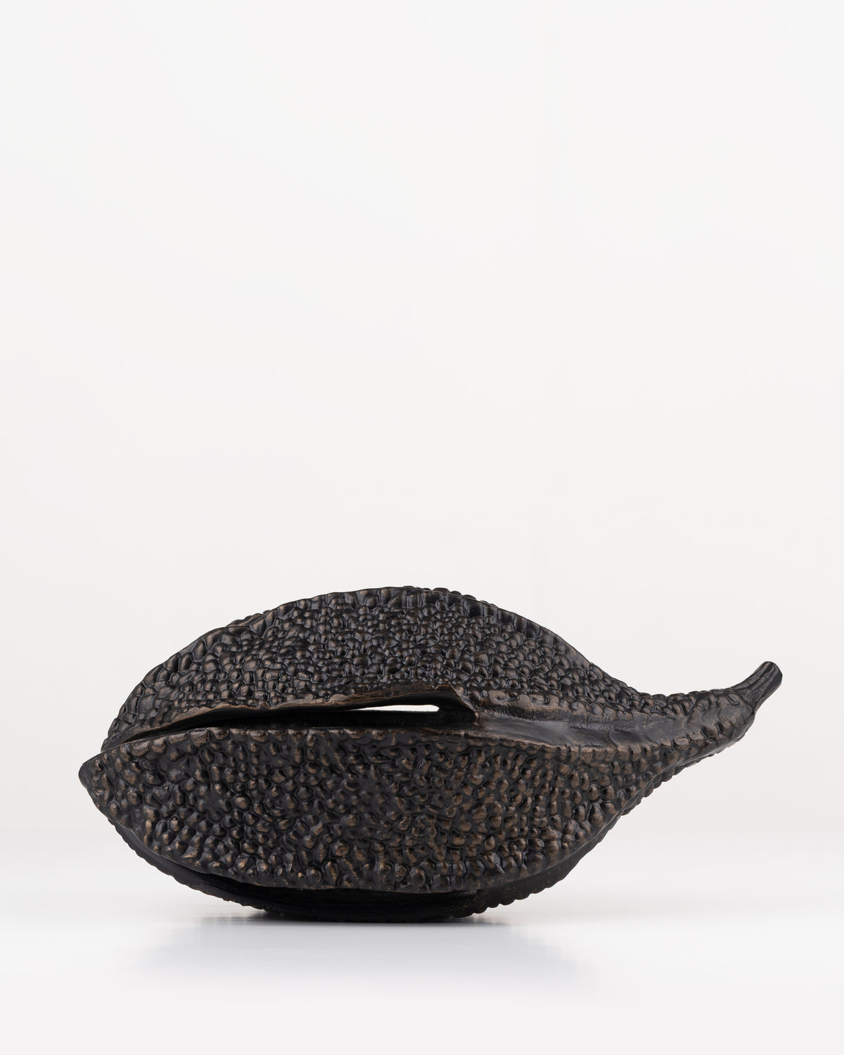 Zambezi Seed Pod Sculpture | Large