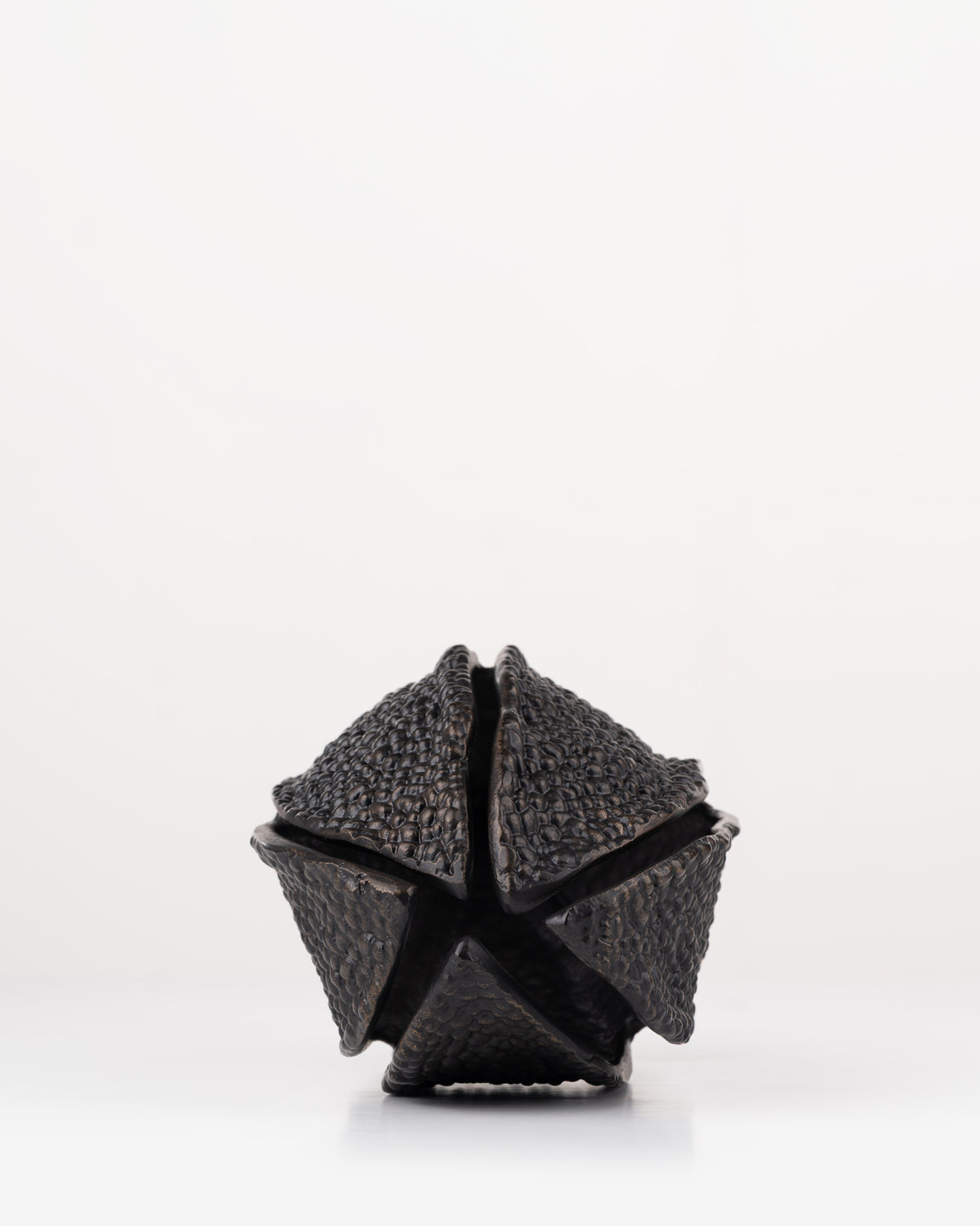 Zambezi Seed Pod Sculpture | Large