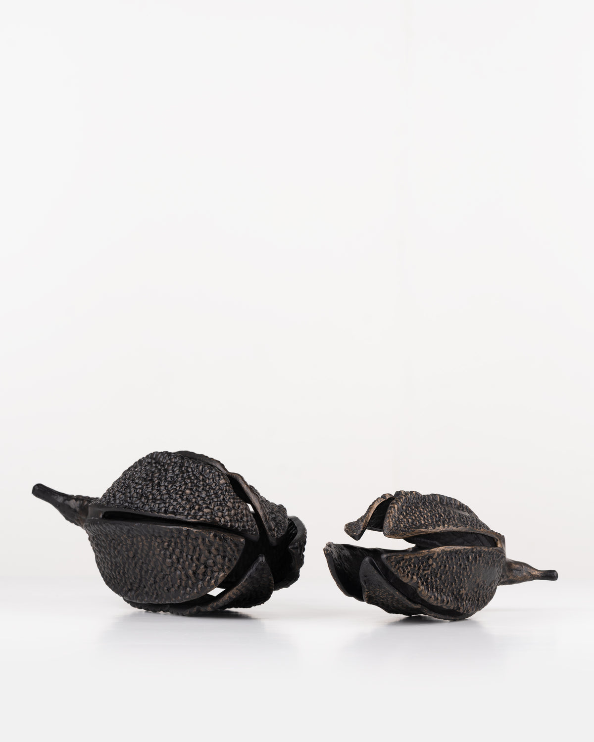 Zambezi Seed Pod Sculpture | Small