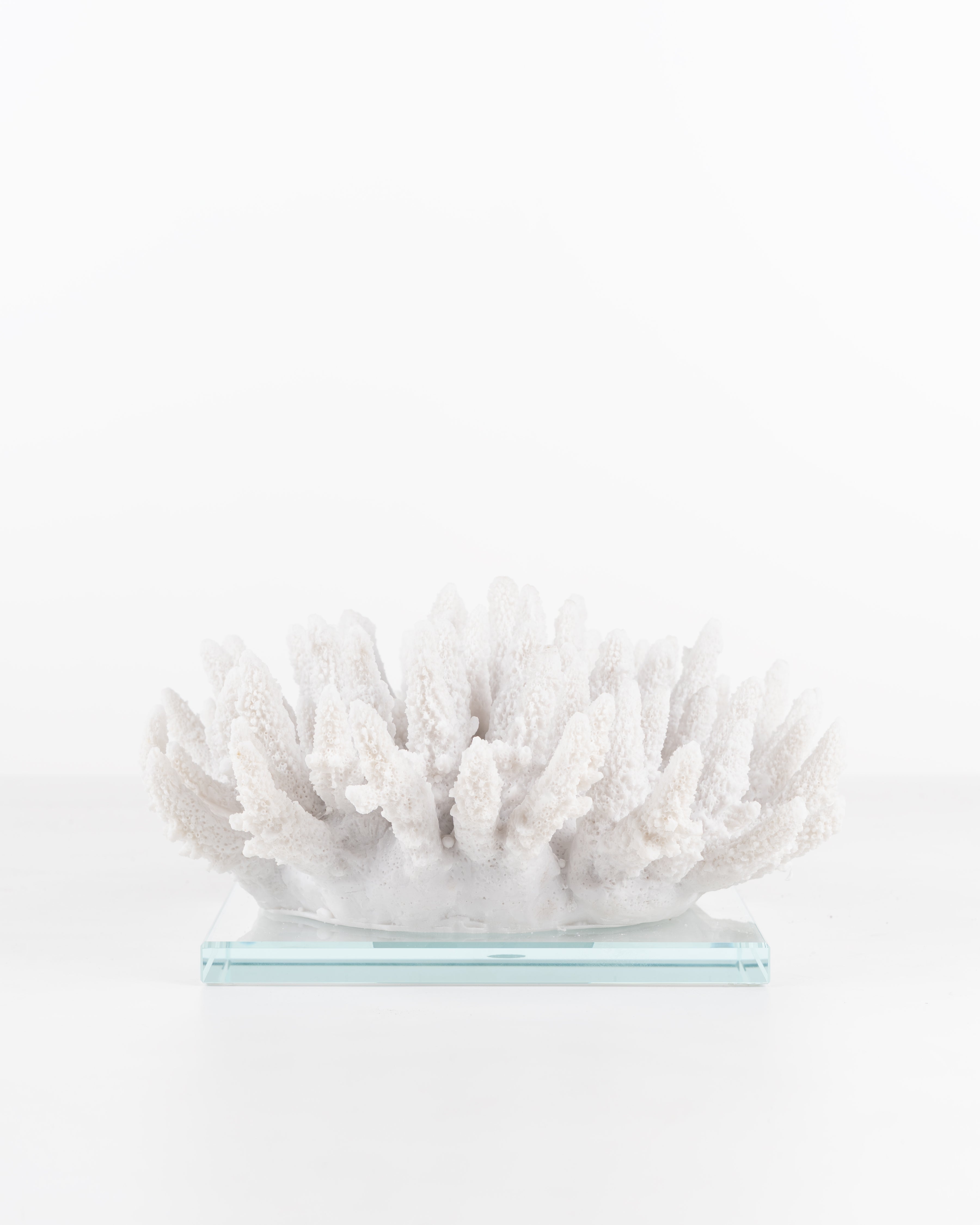 Faux White Coral on Stand