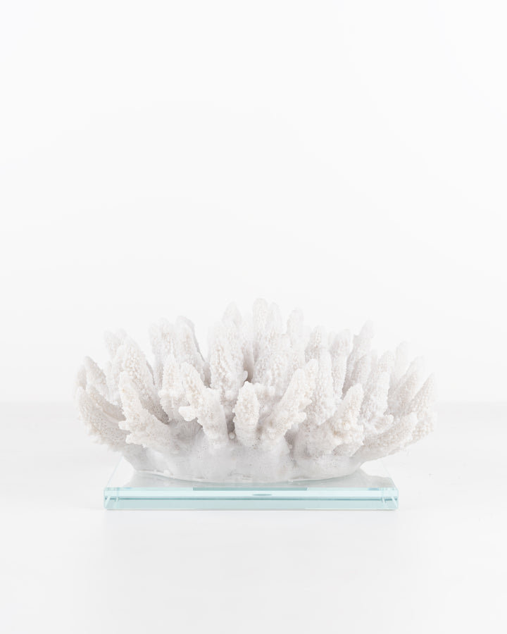 Faux White Coral on Stand