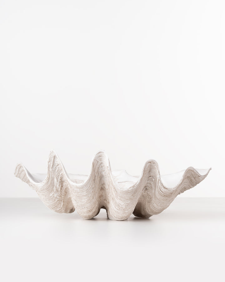 Ivory Clam Shell Bowl