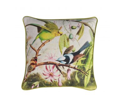 Colourful budgie cushion with green velvet backing 