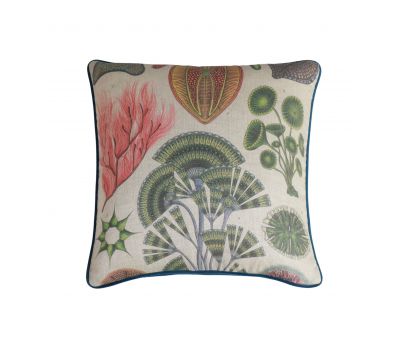 colourful reef cushion with blue velvet backing 