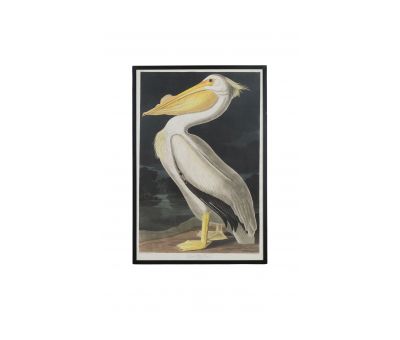 Pelican bird print with wooden frame 