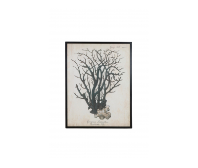 coral print with dark wooden frame 