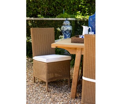 Rattan dining chair with seat cushion