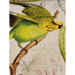 Colourful budgie cushion with green velvet backing 