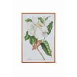 Botanical print with wooden frame 