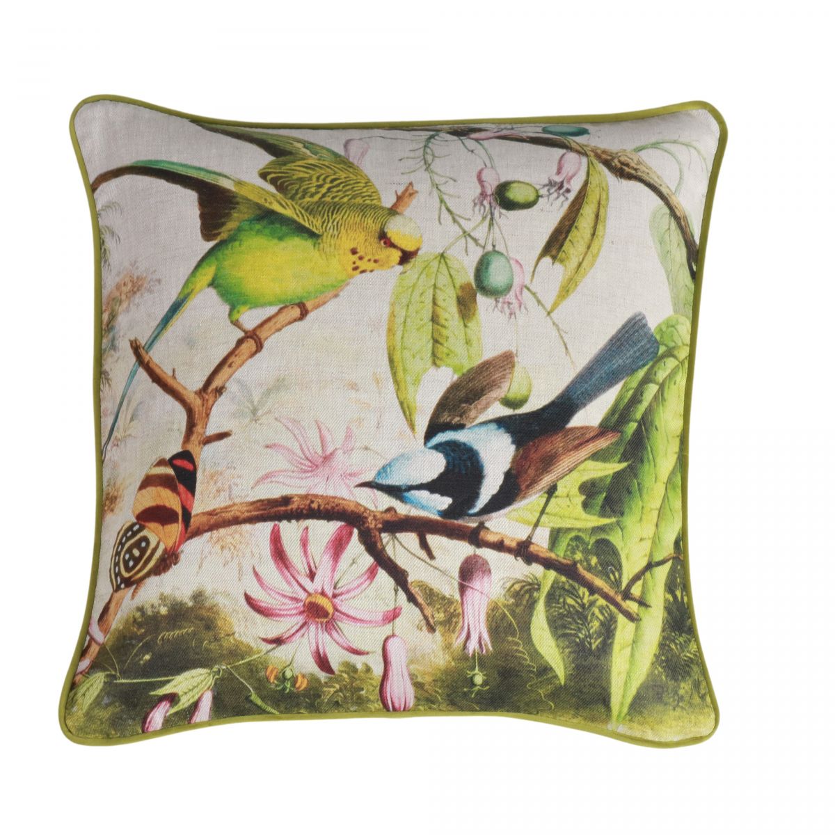 Colourful budgie cushion with green velvet backing 